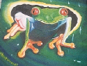 frog6.jpg (43377 bytes)