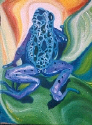 Frog No. 7