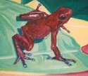Frog No. 8