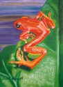 Frog No. 9