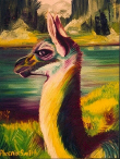 llama1.jpg (183404 bytes)