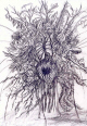 flowers_marty-1.jpg (294211 bytes)