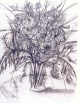 flowers_marty-2.jpg (221525 bytes)