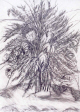 flowers_marty-3.jpg (189979 bytes)