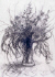 flowers_marty-4.jpg (195302 bytes)