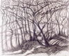 trees_II.jpg (205321 bytes)