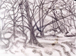 trees_I.jpg (211181 bytes)