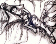 kali_sleeping.jpg (192176 bytes)