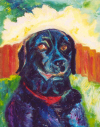 dead_dog.jpg (310329 bytes)