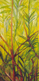 morning_oleander.jpg (371570 bytes)