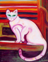 space_cat.jpg (316740 bytes)