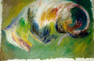 Possum