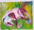 O'possum Better 2