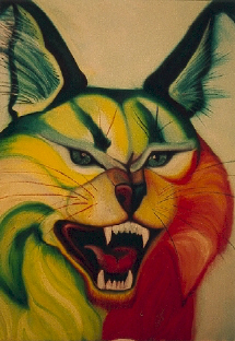 Cat-Cat