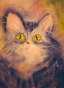 Kitty Kitty