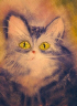 Kitty Kitty