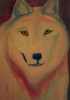 Snow Wolf